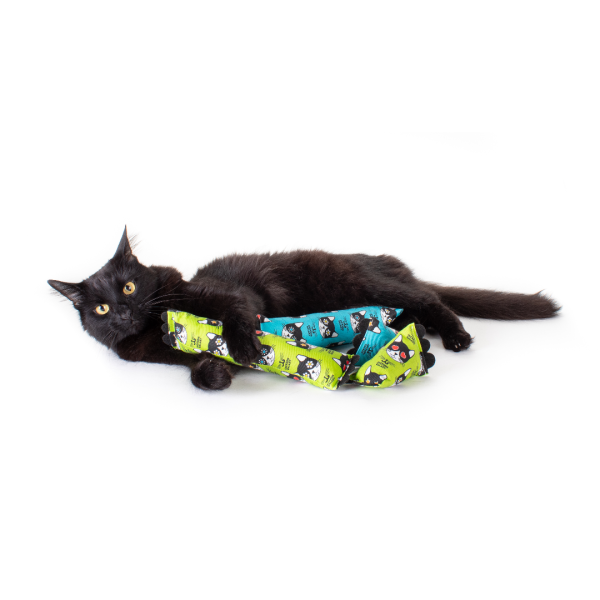 Mini Mojo Cat Kicker For Cheap - Image 2
