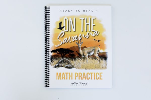 Ready to Read 4: Printed Math Practice Book Fashion
