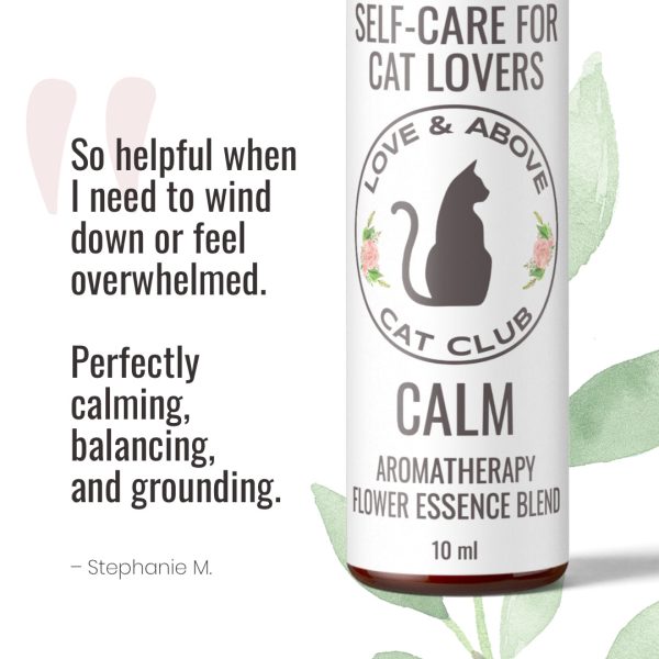 Calm Set - Stress Relief for Humans Online Hot Sale - Image 2