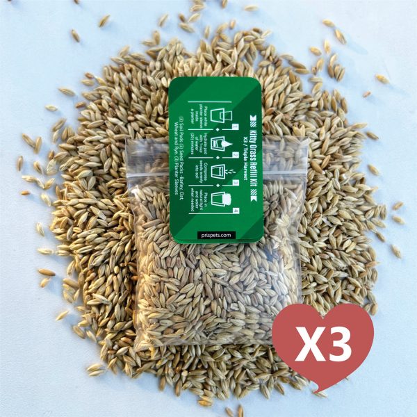 Cat Grass Seed Pack 3x (3 oz total) by Three Farms Online Hot Sale - Image 3
