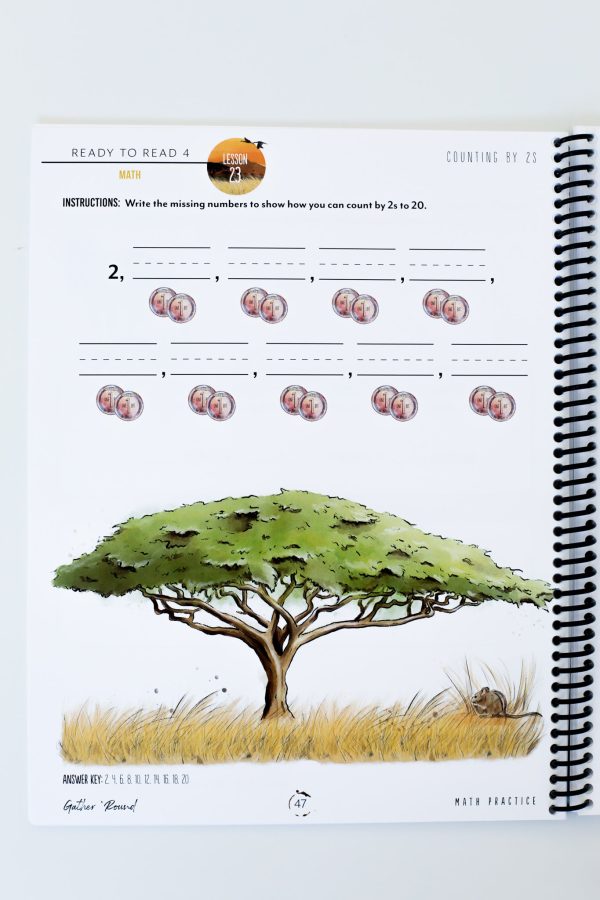 Ready to Read 4: Printed Math Practice Book Fashion - Image 2