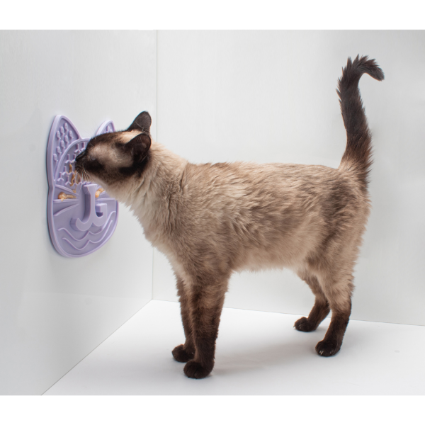 Lick, Treat, Repeat Bundle for Cats For Cheap - Image 2