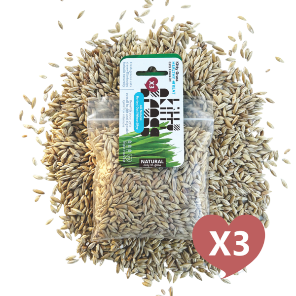 Cat Grass Seed Pack 3x (3 oz total) by Three Farms Online Hot Sale