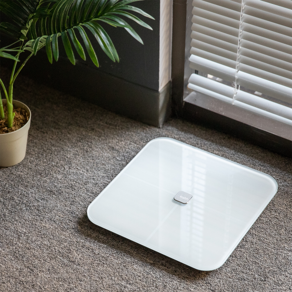 iHealth Nexus Wireless Body Composition Scale on Sale - Image 5