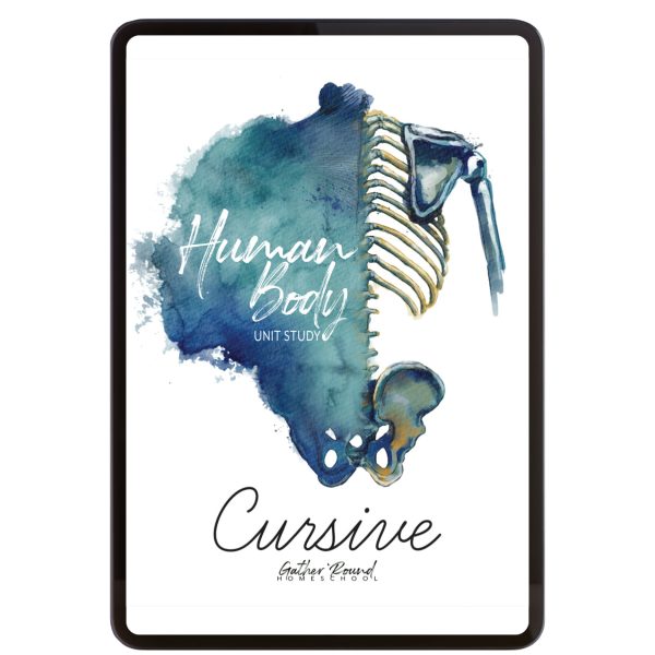 Human Body Cursive Writing Digital Notebook Online now