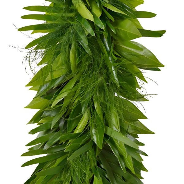 Cocculus, Coontie and Tree Fern Greens Garland Online now
