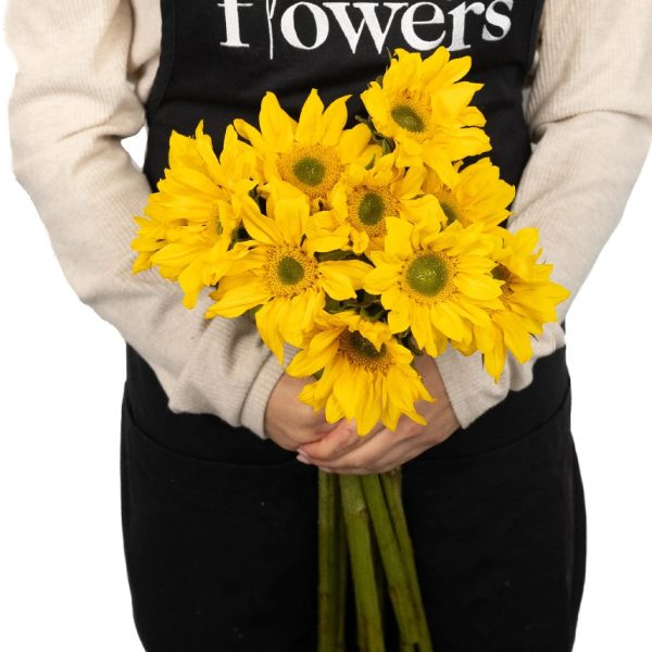 Mini Green Center Sunflowers Online now - Image 4