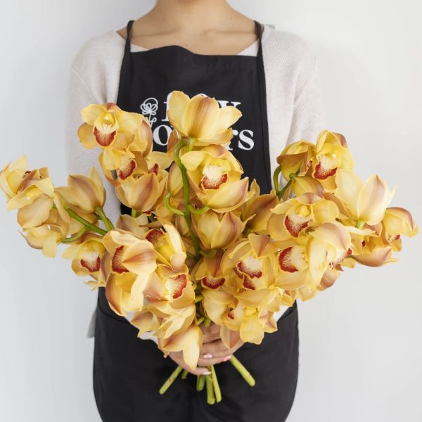 Orange Wholesale Cymbidium Orchids For Sale - Image 4