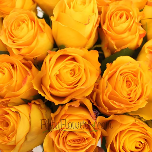Kerio Golden Yellow Rose For Cheap