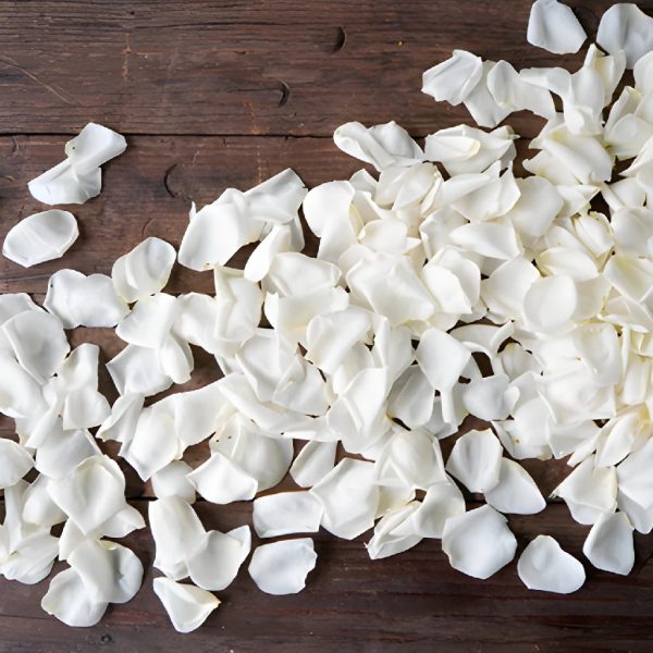 Pearl White Garden Rose Petals Hot on Sale - Image 3
