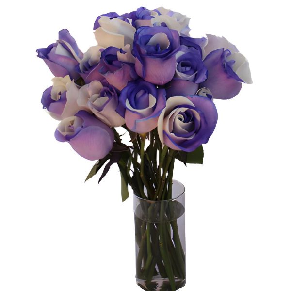 Purple and White Rainbow Roses Cheap - Image 3