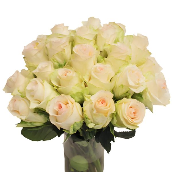 Senorita Blush Roses on Sale - Image 4