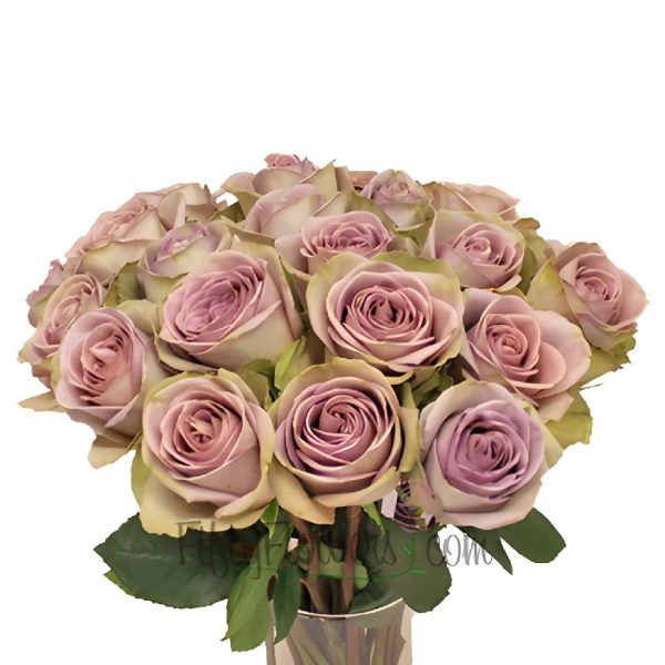 Amnesia Lavender Novelty Rose For Sale - Image 4