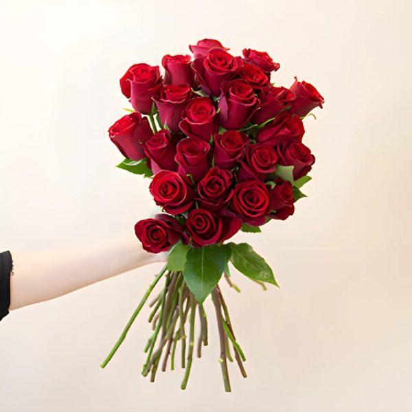 Rich Red Tinto Rose For Cheap - Image 2