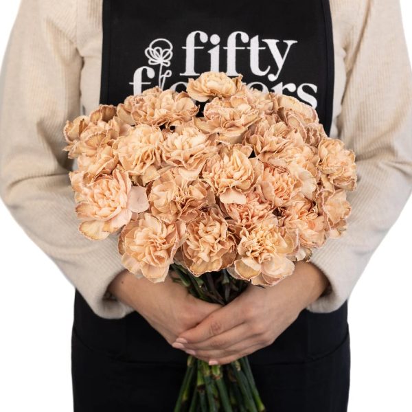 Vintage Peach Beige Carnation Flowers Online now - Image 4