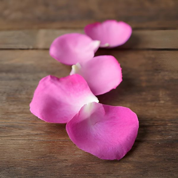 Magenta Garden Rose Petals Discount - Image 2