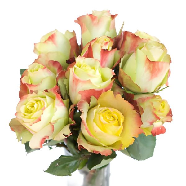 Antique Green Zazu Rose Supply - Image 4