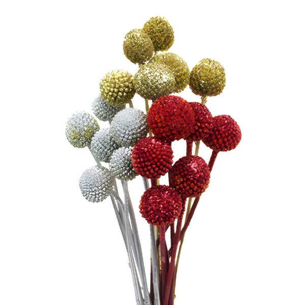 Holiday Colors Airbrushed Craspedia Billy Balls Online
