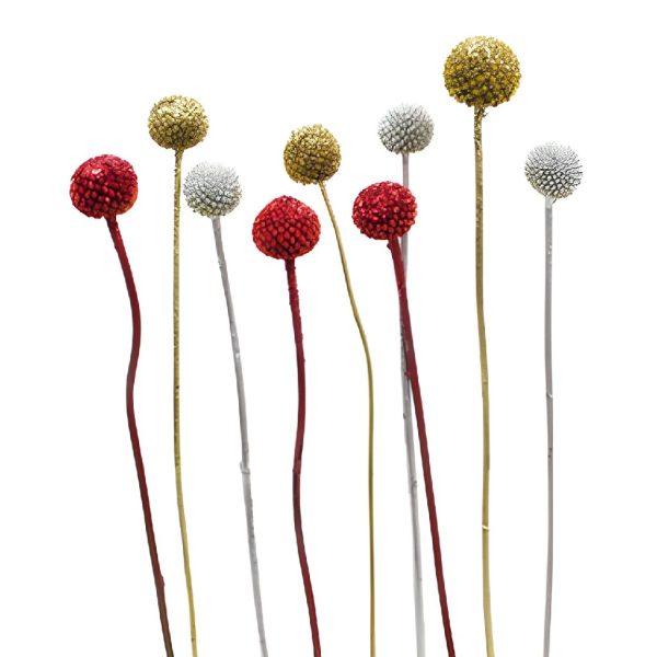 Holiday Colors Airbrushed Craspedia Billy Balls Online - Image 2