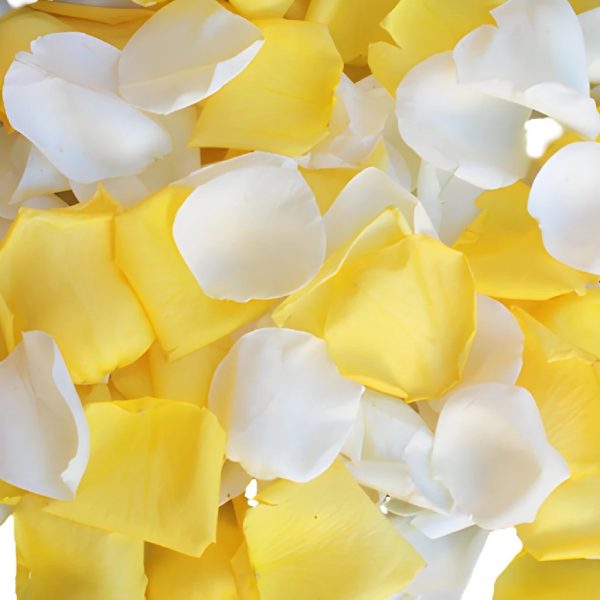 Lemon Creamsicle Fresh Rose Petals Online
