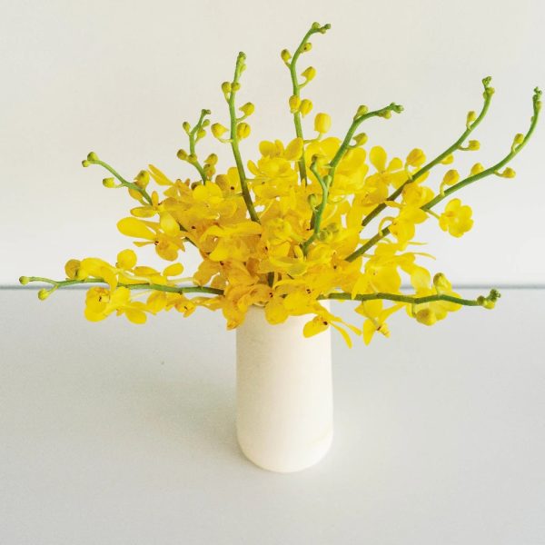 Sunshine Bright Yellow Mokara Orchid Sale - Image 3