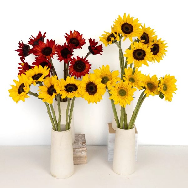 Assorted Sunflowers for Arranging DIY Flower Kit Cheap - Image 2